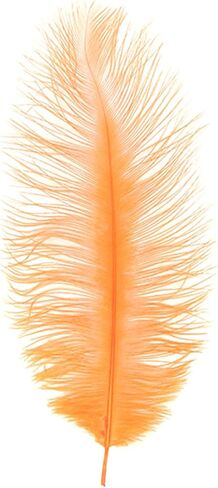 MFC Ostrich Plume in Kuwait