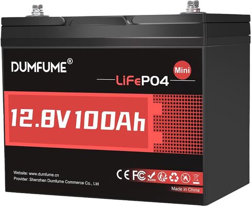 12V 100Ah Mini LiFePO4 Battery group 24 lithium battery in Kuwait