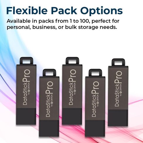 2GB DataStick Pro by Centon, USB 2.0 Flash Drive Memory Stick for Storage and Backup in Kuwait