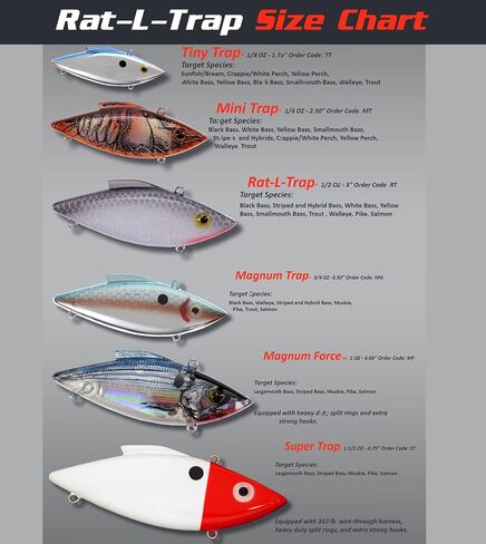 Bill Lewis Lures Lifelike Vibrations Rat-L-Trap Mini-Trap 1/4 OZ Lipless Crankbait Fishing Wobble Sinking Lure, GOLD in Kuwait