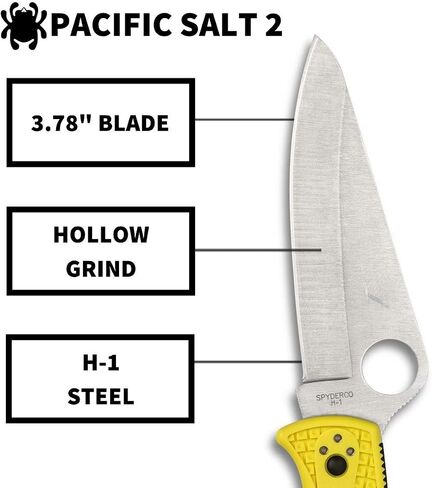 Spyderco Pacific Salt 2 Folding Knife, PlainEdge in Kuwait