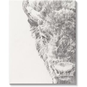 Stupell Industries Detailed Graphite Bison Rural Farm Animal Drawing Floating Framed Wall Art, Design By Ethan Harper