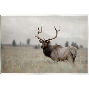 Stupell Industries Tranquil Elk Deer Grazing Rural Farmland Field Wood Wall Art, Design By Danita Delimont