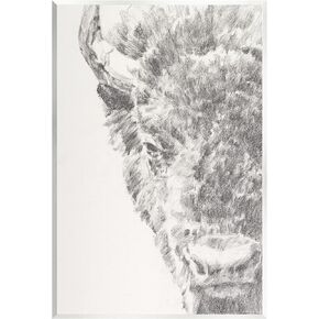 Stupell Industries Detailed Graphite Bison Rural Farm Animal Drawing Wood Wall Art, Design By Ethan Harper