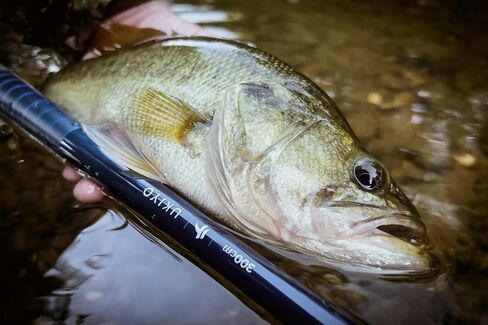 Tenkara USA Fly Fishing Ukiyo™ Rod with Case, Super Compact All-Around for Small & Medium Fish - Ultra-Portable, Carbon Fiber, Lightweight (9ft10in - 300cm) in Saudi Arabia