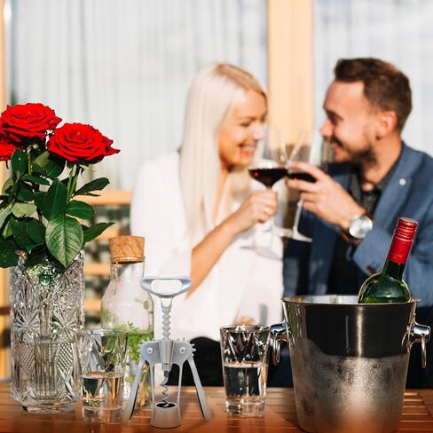 فتاحة زجاجات النبيذ شديدة التحمل - 2 في 1 أذرع جسم من سبائك الزنك من الفولاذ المقاوم للصدأ فتاحة نبيذ حلزونية، مفتاح يدوي متعدد الوظائف للنبيذ والبيرة لحانات المطاعم والمطبخ المنزلي لاستخدام DEHOZO in Kuwait