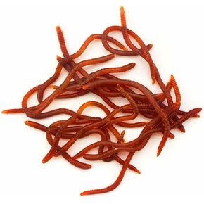 FishBait Soft Plastic Fishing Worms 20pcs/Pack, Lifelike Artificial Bait for Freshwater & Saltwater, Red Color, Reusable Fishing Lures for Bass, Trout, Crappie, 3.1" with Storage Box in Kuwait