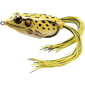 Livetarget Hollow Body Frog in Kuwait