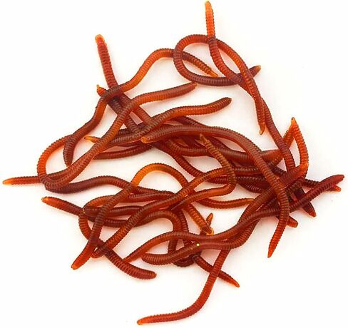 FishBait Soft Plastic Fishing Worms 20pcs/Pack, Lifelike Artificial Bait for Freshwater & Saltwater, Red Color, Reusable Fishing Lures for Bass, Trout, Crappie, 3.1" with Storage Box in Kuwait