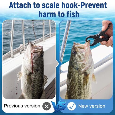 Cull Tags for Bass Fishing, Fish Culling System, Boat Livewell Float Clips in Kuwait