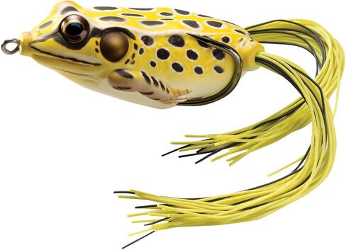 Livetarget Hollow Body Frog in Kuwait