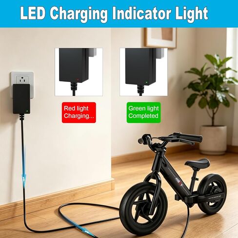 25.2V Charger for Hiboy 21.6V Battery Compatible with Hiboy BK1 FN-A1 FNA1 Power Adapter Cord in Kuwait