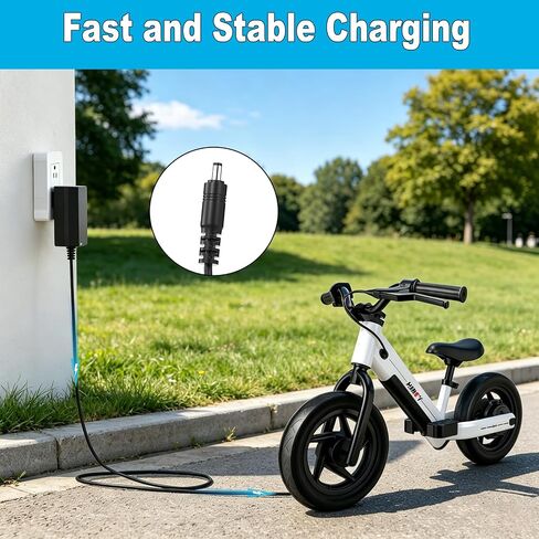 25.2V Charger for Hiboy 21.6V Battery Compatible with Hiboy BK1 FN-A1 FNA1 Power Adapter Cord in Kuwait