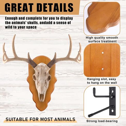 AceOrbit 3 Pcs Deer Skull Mount Plate Plaques Wood European Deer Head Mount Plaque European Mounting Skull Hanger Plate with Mounting Hardware(Natural Wood Color,14.17 x 7.48 x 0.59 Inches,Modern) in Kuwait