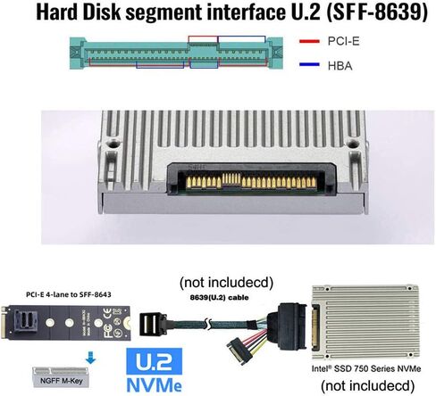 cablecc U.2 Kit SFF-8639 NVME PCIe4.0 SSD Adapter 22x80mm for Mainboard SSD 750 p3600 p3700 M.2 SFF-8643 Mini SAS HD in Kuwait