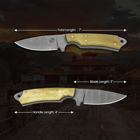 Knives Ranch Edc Hunting Knife with Pancake Pouch - Carbon Steel Damascus - Bone Handle - Skinning-Bushcrafting -Gift for Men(2001-B) in Kuwait