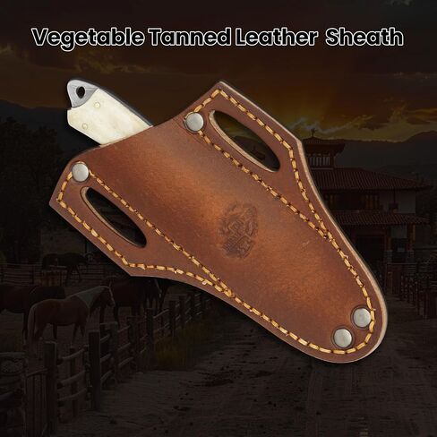 Knives Ranch Edc Hunting Knife with Pancake Pouch - Carbon Steel Damascus - Bone Handle - Skinning-Bushcrafting -Gift for Men(2001-B) in Kuwait