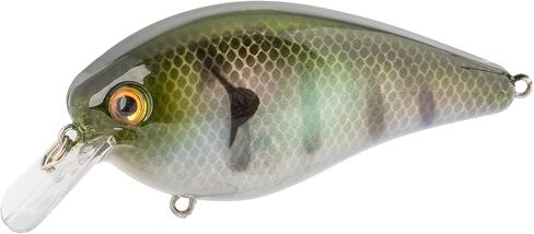 Strike King KVD Elite 8.0 Squarebill, The Real Gill in Kuwait