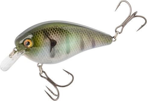 Strike King KVD Elite 8.0 Squarebill, The Real Gill in Kuwait