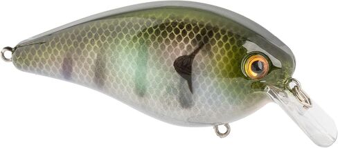Strike King KVD Elite 8.0 Squarebill, The Real Gill in Kuwait
