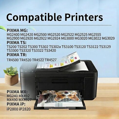 245XL 246XL Ink Cartridge Combo Pack for Canon, PG-245XL CL-246XL Replacement with Smart Chip, 2-Pack (1 Black 1 245XLColor) for Pixma MG2522 MX490 TR4520 TS3122 TS3322 Printers in Kuwait