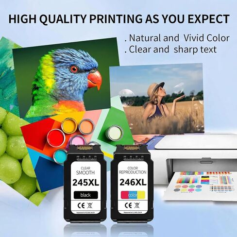 245XL 246XL Ink Cartridge Combo Pack for Canon, PG-245XL CL-246XL Replacement with Smart Chip, 2-Pack (1 Black 1 245XLColor) for Pixma MG2522 MX490 TR4520 TS3122 TS3322 Printers in Kuwait