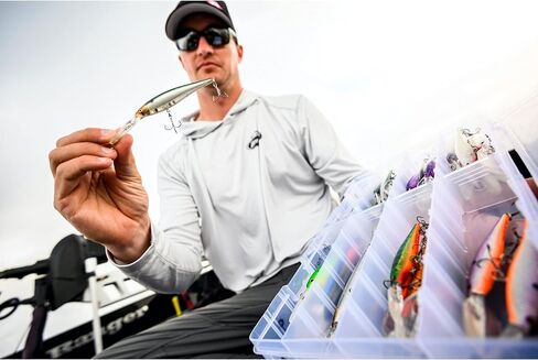 Berkley Flicker Minnow Fishing Lure, Flashy Perch, 1/3 oz, 3 1/2in | 9cm Crankbaits, Realistic Minnow Profile, Sharp Dive Curve Gets to Fish Quickly, Equipped with Fusion19 Hook in Kuwait