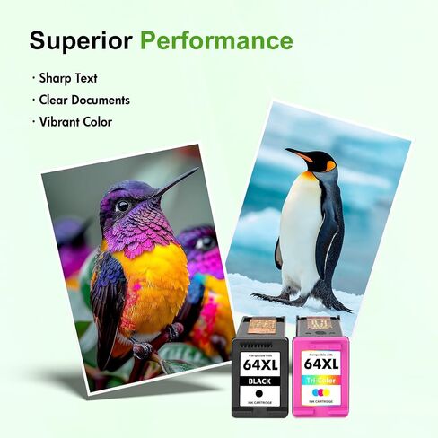64XL 64 7855 7900e Black and Color Ink Cartridge Combo Pack for HP Printer in Saudi Arabia