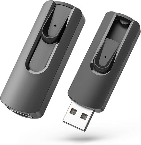 1GB USB Flash Drive 2PCS USB 2.0 Flash Drive Thumb Drive Jump Drives Keychain Memory Stick-Black in Saudi Arabia