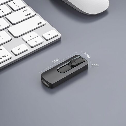 1GB USB Flash Drive 2PCS USB 2.0 Flash Drive Thumb Drive Jump Drives Keychain Memory Stick-Black in Saudi Arabia