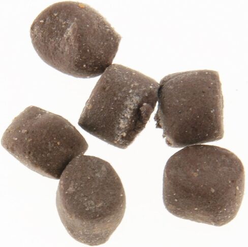 Berkley Powerbait Trout Bait in Kuwait