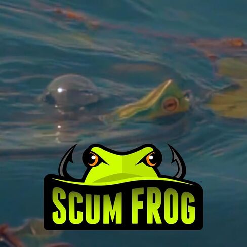 SCUM FROG Trophy Series Painted Popper | Tournament-Grade Weedless Topwater Frog | Loud Splash Action for Trophy Bass Strikes | Green Tea, 1/2 oz in Kuwait