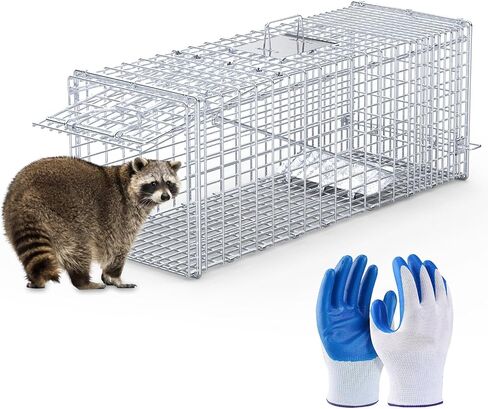 Live Animal Cage Trap 23.3x7.2x7.7 Inches Collapsible Humane Cat Trap in Saudi Arabia