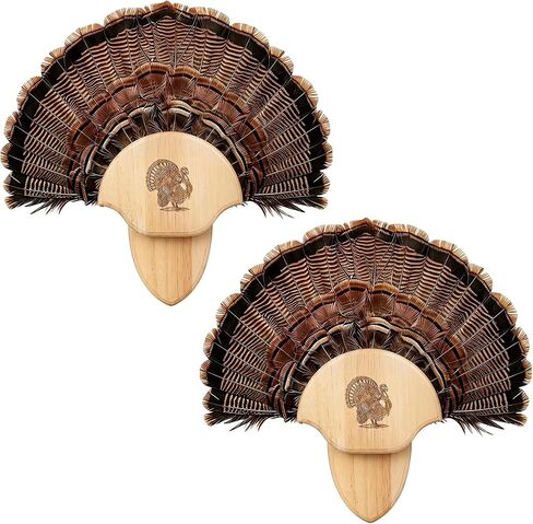 2 Pack Turkey Tail Fan Mounting Kit Oak Carved Turkey Fan Mounting Kit for Hanging Tail, Beard, Feather, Wall Mounted Hunting Trophy Mount Kit with Hardware, 8.3 Inch, Natural Oak Wood Color in Kuwait