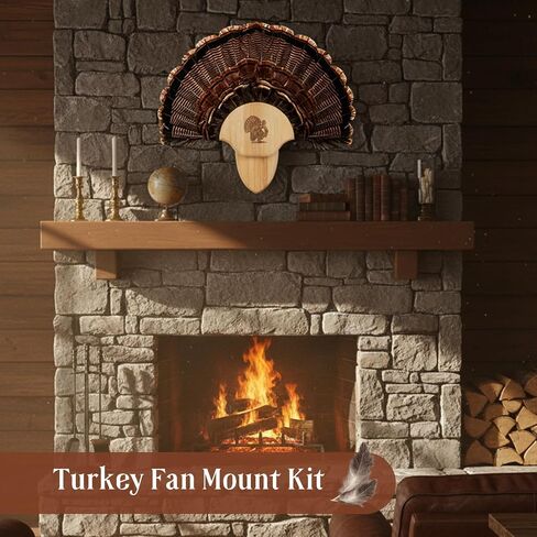 2 Pack Turkey Tail Fan Mounting Kit Oak Carved Turkey Fan Mounting Kit for Hanging Tail, Beard, Feather, Wall Mounted Hunting Trophy Mount Kit with Hardware, 8.3 Inch, Natural Oak Wood Color in Kuwait