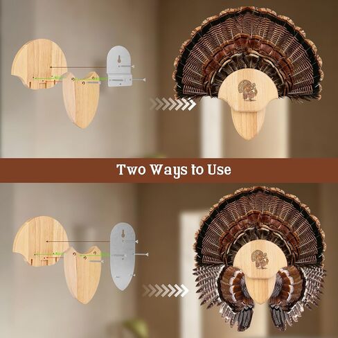 2 Pack Turkey Tail Fan Mounting Kit Oak Carved Turkey Fan Mounting Kit for Hanging Tail, Beard, Feather, Wall Mounted Hunting Trophy Mount Kit with Hardware, 8.3 Inch, Natural Oak Wood Color in Kuwait