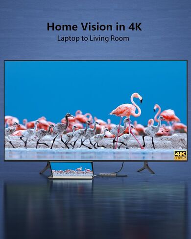 محطة إرساء الكمبيوتر المحمول بشاشة مزدوجة 4K@60 هرتز، قاعدة USB C (10 في 1) مع HDMI 4k، DP(4K@144 هرتز)، 100 وات PD، إيثرنت، 4USB، بطاقة SD/TF، ​​محور USB متعدد المنافذ لأجهزة الكمبيوتر المحمولة HP/Dell/Surface/MacBook/Lenovo in Kuwait