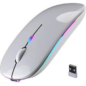 Slim Rechargeable Bluetooth Wireless Mouse, 2.4G Dual Mode Silent Click, Type-C Charging 3 DPI Portable Matte Black Optical Mice Compatible with Laptop Mac iPad Windows Tablet Office Travel (Silver) in Saudi Arabia