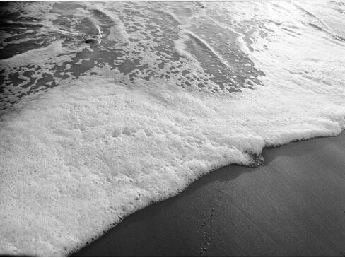 Kodak Professional Tri-X 400 Black & White Negative Film | 35mm Roll Film, 2 Rolls | 24 Exposure Each & Cloth in Kuwait