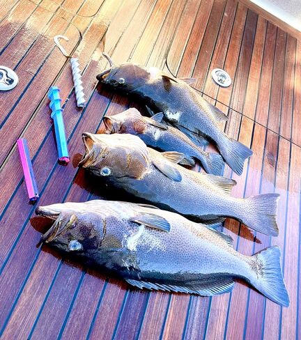AquaJoy™ Spiral X Spearfishing Throw Flasher PLA ذاتي التحكم في الدوران في النزول طعم صيد فلاش مع ذيل تنين متغير الألوان لصيد الأسماك بالرمح والصيد/صيد الأسماك in Kuwait