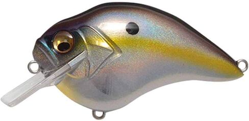 Megabass S-Crank 1.2 MEGABASS Sexy SHAD in Saudi Arabia