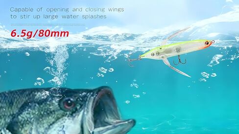 Topwater Crawler Walks On Water Dragonfly Big Bass Blow Ups Great Fishing Gift Great for Freshwater Fishing in Saudi Arabia
