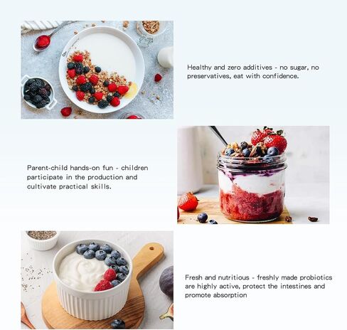 Yogurt Maker, 1 Qt Automatic Greek Yogurt Machine for Home Kitchen in Kuwait