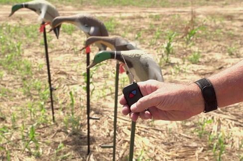 MOJO Outdoors Mojo Decoys unisex adult + Receiver Mojo Decoys Multi Decoy Remote, Black, Remote Receiver US in Kuwait