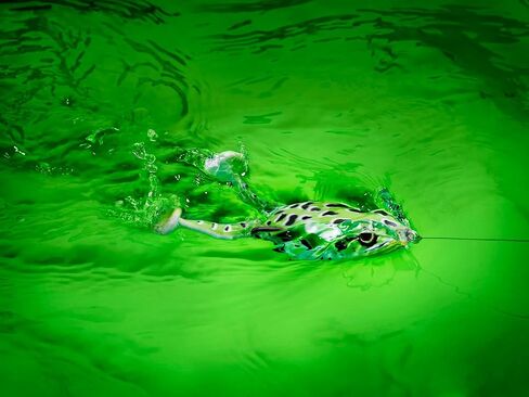 SPRO Fishing SEFF65GRNP Flappin Frog 65 Green Pumpkin Ewg Double Ss De NSC 4/0 in Kuwait