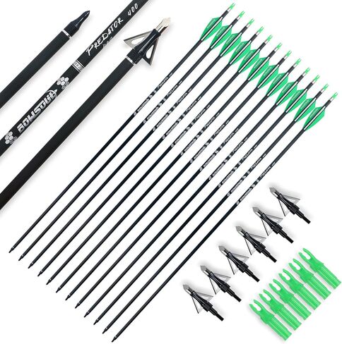 30inch Hunting Carbon Archery Arrows with 2.75" High Hardness Vanes Spine 400 for Compound Bow and Recurve Bow in Saudi Arabia