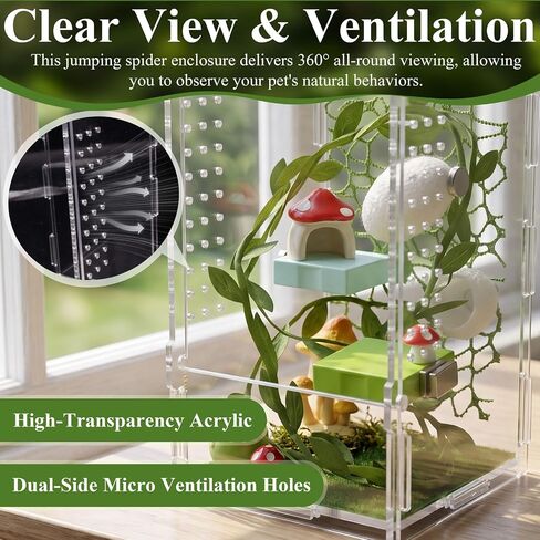 Jumping Spider Enclosure Kit, Acrylic Terrarium with Habitat Decor in Kuwait
