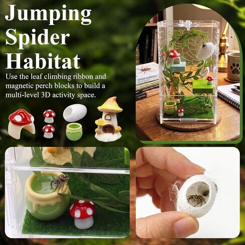 Jumping Spider Enclosure Kit, Acrylic Terrarium with Habitat Decor in Kuwait