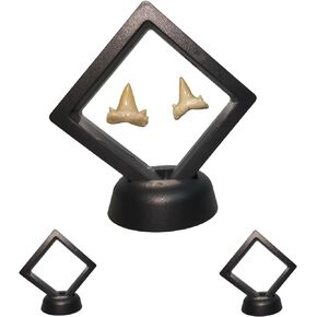 DEALSGOGO 2pack Shark Tooth Holder, Sealed Box for The Shark Tooth Display Case, Shark Teeth Holder to Prevent Dust and Oxidation, 3D Floating Display for Shark Tooth Holder