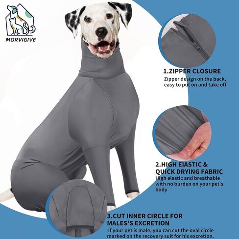 بدلة جراحية للكلاب، ملابس داخلية للكلاب سريعة الجفاف لإجراء العمليات الجراحية، بديل مخروطي للكلاب طويل الأكمام مضاد لللعق لجروح البطن، بيجامة للكلاب بدلة تساقط للحيوانات الأليفة للكلاب المتوسطة والكبيرة in Kuwait